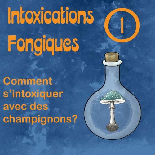 Intoxications fongiques 1