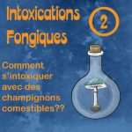 intoxications fongiques 2