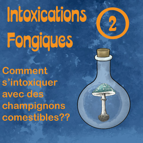 intoxications fongiques 2
