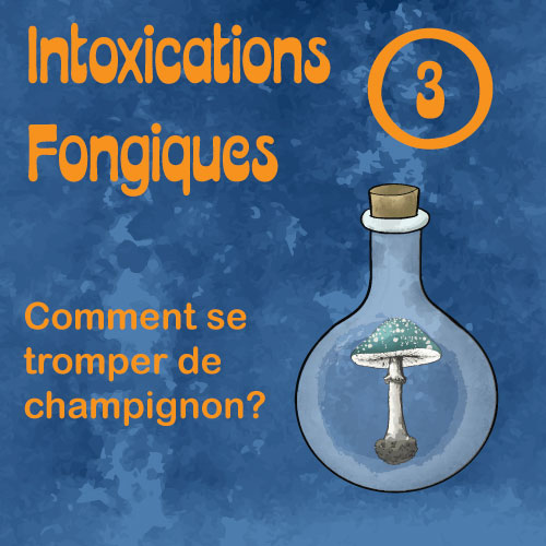 intoxications fongiques 3