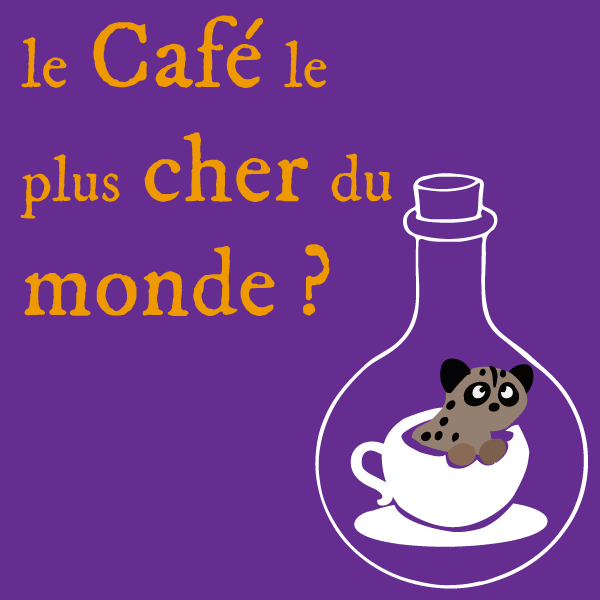 Le café le plus cher du monde ?