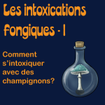 Les intoxications fongiques, épisode 1: comment s'intoxiquer avec des champignons?