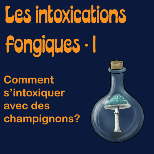 Les intoxications fongiques, épisode 1: comment s'intoxiquer avec des champignons?