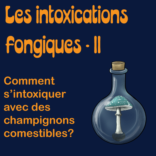 Intoxications fongiques 2: comment s'intoxiquer avec des champignons comestibles?