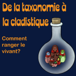de la taxonomie à la cladistique, comment ranger le vivant