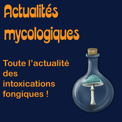 Actualités en mycologie